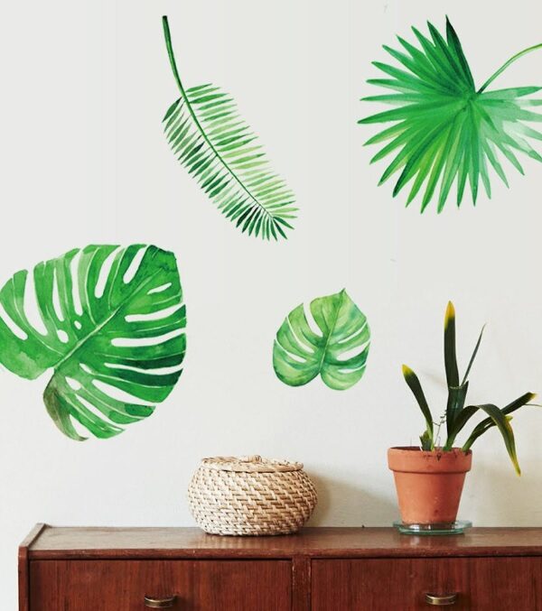 Liście - paproć monstera