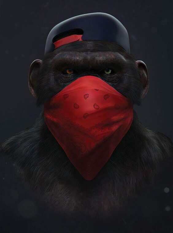 Plakat  Goryl  Gangster