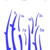 8d5e4e5810db0164dc606ec15a9b391a