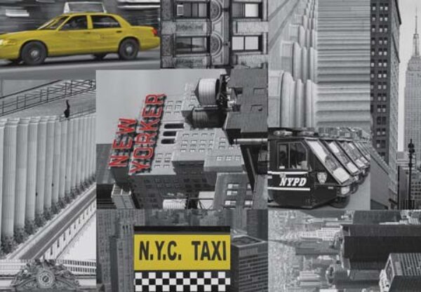 11916 Okleina TAXI