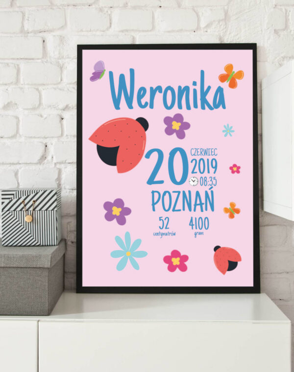 Metryczka dla dziewczynki Biedronki